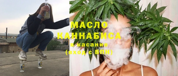 твердый Арсеньев