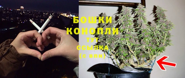 твердый Арсеньев